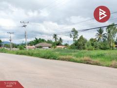 ขายที่ดิน เนื้อที่ 5 ไร่ ดอนทอง พิษณุโลก-202505311147541748666874167.jpg