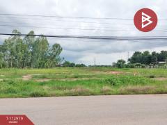 ขายที่ดิน เนื้อที่ 5 ไร่ ดอนทอง พิษณุโลก-202505311147541748666874776.jpg