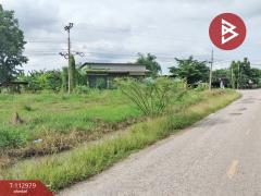 ขายที่ดิน เนื้อที่ 5 ไร่ ดอนทอง พิษณุโลก-202505311147561748666876018.jpg