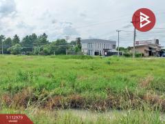 ขายที่ดิน เนื้อที่ 5 ไร่ ดอนทอง พิษณุโลก-202505311147571748666877223.jpg
