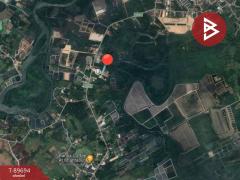 ขายที่ดิน เนื้อที่ 8 ไร่ 1 งาน 8 ตร.วา ท่าใหม่ จันทบุรี-202505311149461748666986158.jpg
