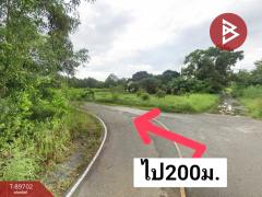 ขายที่ดิน เนื้อที่ 8 ไร่ 2 งาน 19 ตร.วา บางกะจะ จันทบุรี-202505311209291748668169110.jpg