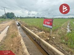 ขายที่ดิน เนื้อที่ 4 ไร่ 50.3 ตร.วา แม่แตง เชียงใหม่
