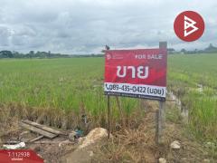 ขายที่ดิน เนื้อที่ 4 ไร่ 50.3 ตร.วา แม่แตง เชียงใหม่-202505311241451748670105972.jpg