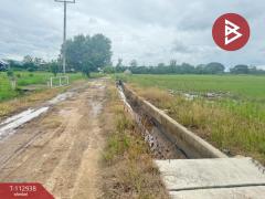 ขายที่ดิน เนื้อที่ 4 ไร่ 50.3 ตร.วา แม่แตง เชียงใหม่-202505311241461748670106558.jpg