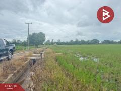 ขายที่ดิน เนื้อที่ 4 ไร่ 50.3 ตร.วา แม่แตง เชียงใหม่-202505311241471748670107158.jpg