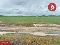 ขายที่ดิน เนื้อที่ 4 ไร่ 50.3 ตร.วา แม่แตง เชียงใหม่-202505311241471748670107752.jpg