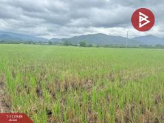 ขายที่ดิน เนื้อที่ 4 ไร่ 50.3 ตร.วา แม่แตง เชียงใหม่-202505311241481748670108352.jpg