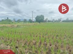 ขายที่ดิน เนื้อที่ 4 ไร่ 50.3 ตร.วา แม่แตง เชียงใหม่-202505311241501748670110162.jpg