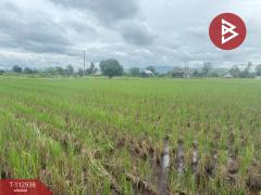 ขายที่ดิน เนื้อที่ 4 ไร่ 50.3 ตร.วา แม่แตง เชียงใหม่-202505311241501748670110764.jpg