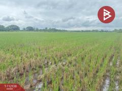 ขายที่ดิน เนื้อที่ 4 ไร่ 50.3 ตร.วา แม่แตง เชียงใหม่-202505311241511748670111351.jpg