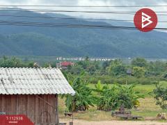 ขายที่ดิน เนื้อที่ 4 ไร่ 50.3 ตร.วา แม่แตง เชียงใหม่-202505311241511748670111952.jpg