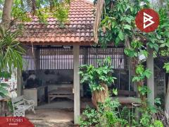 ขายบ้านเดดี่ยวพร้อมที่ดิน เนื้อที่ 67 ตร.วา ขุนตาล เชียงราย-202505311255191748670919967.jpg