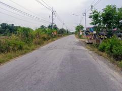 ขายที่ดินเปล่าในอำเภอบางน้ำเปรี้ยว จังหวัดฉะเชิงเทรา-202505311436231748676983373.jpg