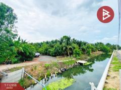 ขายที่ดิน เนื้อที่ 3 ไร่ บ้านแพ้ว สมุทรสาคร-202505311439051748677145315.jpg