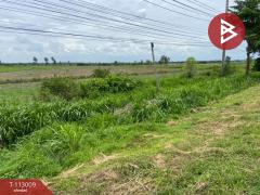 ขายที่ดิน เนื้อที่ 24 ไร่ 2 งาน 27 ตร.วา ท่าตะโก นครสวรรค์-202505311555291748681729459.jpg