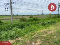 ขายที่ดิน เนื้อที่ 24 ไร่ 2 งาน 27 ตร.วา ท่าตะโก นครสวรรค์-202505311555321748681732152.jpg