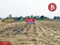 ขายที่ดิน-เนื้อที่-4-ไร่-3-งาน-79-ตร.วา-พา