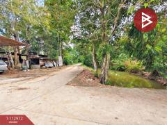 ขายที่ดิน เนื้อที่ 1 งาน 20 ตร.วา ท่าช้าง จันทบุรี-202505311607411748682461843.jpg