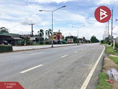 ขายที่ดิน เนื้อที่ 1 ไร่ 72 ตร.วา ป่าเซ่า อุตรดิตถ์-202505311652361748685156045.jpg
