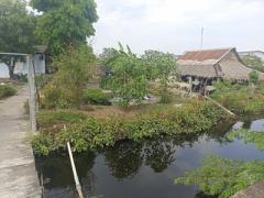 ขายที่ดินสีม่วง 20 ไร่ 2 งาน ถนน เศรษฐกิจ 1 อ.กระทุ่มแบน-202505312134261748702066668.jpg