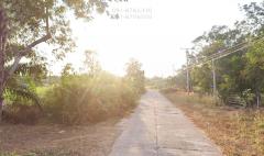 ขายที่ดิน 10ไร่ ทำเลดี มีน้ำมีไฟ อยู่ในชุมชน อยู่ใกล้ตัวเมืองชานุมาน ใกล้แม่น้ำโขง-202505312312021748707922082.jpg