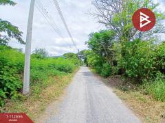 ขายที่ดิน เนื้อที่ 2 งาน 1 ตร.วา พุทธมณฑล นครปฐม-202506011151171748753477132.jpg