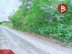 ขายที่ดิน เนื้อที่ 2 งาน 1 ตร.วา พุทธมณฑล นครปฐม-202506011151181748753478322.jpg