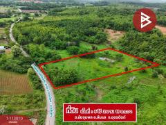 ขายที่ดิน เนื้อที่ 5 ไร่ 2 งาน 18 ตร.วา ลับแล อุตรดิตถ์