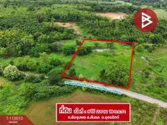 ขายที่ดิน เนื้อที่ 5 ไร่ 2 งาน 18 ตร.วา ลับแล อุตรดิตถ์-202506011337041748759824749.jpg