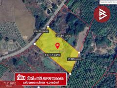 ขายที่ดิน เนื้อที่ 5 ไร่ 2 งาน 18 ตร.วา ลับแล อุตรดิตถ์-202506011337111748759831888.jpg