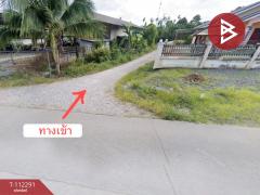 ขายที่ดินพร้อมสิ่งปลูกสร้าง เนื้อที่ 1 ไร่ 2 งาน 62 ตร.วา มะขาม จันทบุรี-202506021118051748837885551.jpg