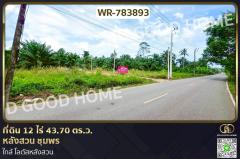 WR-783893 ที่ดิน 12 ไร่ 43.70 ตร.ว. หลังสวน ชุมพร ใกล้ โลตัสหลังสวน