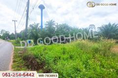 WR-783893 ที่ดิน 12 ไร่ 43.70 ตร.ว. หลังสวน ชุมพร ใกล้ โลตัสหลังสวน-202506021127121748838432513.jpg