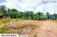 WR-783893 ที่ดิน 12 ไร่ 43.70 ตร.ว. หลังสวน ชุมพร ใกล้ โลตัสหลังสวน-202506021127131748838433147.jpg