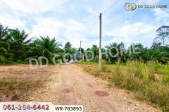 WR-783893 ที่ดิน 12 ไร่ 43.70 ตร.ว. หลังสวน ชุมพร ใกล้ โลตัสหลังสวน-202506021127131748838433786.jpg
