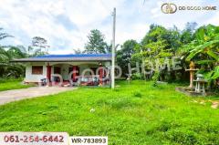 WR-783893 ที่ดิน 12 ไร่ 43.70 ตร.ว. หลังสวน ชุมพร ใกล้ โลตัสหลังสวน-202506021127141748838434462.jpg
