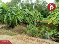 ขายที่ดิน เนื้อที่ 1 ไร่ หนองจอก กรุงเทพมหานคร-202506021247421748843262629.jpg