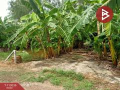 ขายที่ดิน เนื้อที่ 1 ไร่ หนองจอก กรุงเทพมหานคร-202506021247451748843265060.jpg