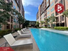 ขายคอนโด โครงการดีคอนโด แคมปัส กำแพงแสน (Dcondo Campus KamphaengSean) นครปฐม-202506021500461748851246874.jpg