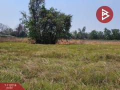 ขายที่ดิน เนื้อที่ 4 ไร่ 71 ตร.วา ศรีมหาโพธิ ปราจีนบุรี-202506021557301748854650102.jpg