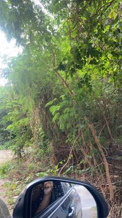 ขายที่ดินเปล่า ซอยลาดพร้าว71 ซอยสังคมสงเคราะห์14 ที่สวย ทำเลดี 1ไร่1ตร.วา เหมาะแก่การลงทุน-202506021610091748855409608.jpg