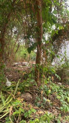 ขายที่ดินเปล่า ซอยลาดพร้าว71 ซอยสังคมสงเคราะห์14 ที่สวย ทำเลดี 1ไร่1ตร.วา เหมาะแก่การลงทุน-202506021610111748855411071.jpg