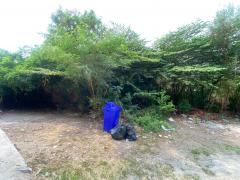 ขายที่ดินเปล่า ซอยลาดพร้าว71 ซอยสังคมสงเคราะห์14 ที่สวย ทำเลดี 1ไร่1ตร.วา เหมาะแก่การลงทุน-202506021610121748855412901.jpg