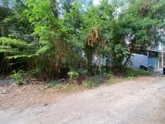 ขายที่ดินเปล่า ซอยลาดพร้าว71 ซอยสังคมสงเคราะห์14 ที่สวย ทำเลดี 1ไร่1ตร.วา เหมาะแก่การลงทุน-202506021610131748855413579.jpg