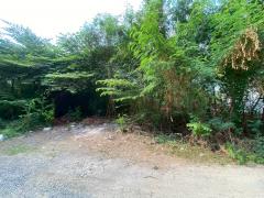 ขายที่ดินเปล่า ซอยลาดพร้าว71 ซอยสังคมสงเคราะห์14 ที่สวย ทำเลดี 1ไร่1ตร.วา เหมาะแก่การลงทุน-202506021610141748855414263.jpg