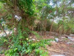 ขายที่ดินเปล่า ซอยลาดพร้าว71 ซอยสังคมสงเคราะห์14 ที่สวย ทำเลดี 1ไร่1ตร.วา เหมาะแก่การลงทุน-202506021610151748855415540.jpg