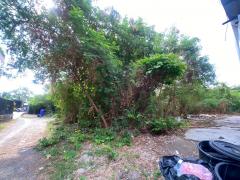 ขายที่ดินเปล่า ซอยลาดพร้าว71 ซอยสังคมสงเคราะห์14 ที่สวย ทำเลดี 1ไร่1ตร.วา เหมาะแก่การลงทุน-202506021610161748855416825.jpg