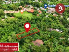 ขายที่ดิน เนื้อที่ 2 งาน 67 ตร.วา ผาจุก อุตรดิตถ์-202506021612561748855576946.jpg