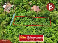 ขายที่ดิน เนื้อที่ 2 งาน 67 ตร.วา ผาจุก อุตรดิตถ์-202506021612591748855579566.jpg